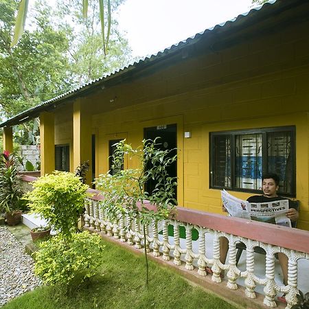 Sauraha Nana Hotel Экстерьер фото